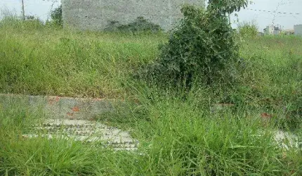 Terreno em Bairros em Sorocaba