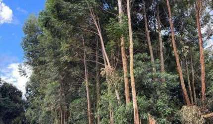 Área à venda, 21000 m² por R$ 1.500.000,00 - Rural - Cascavel/PR