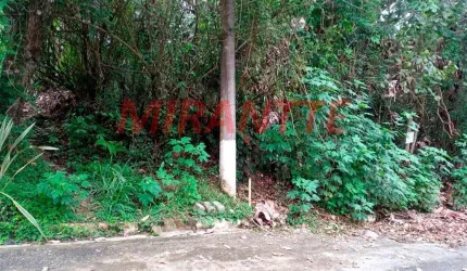 Terreno em Serra Da Cantareira