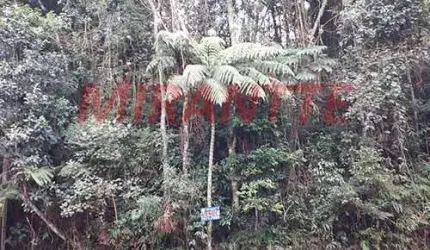 Terreno em Serra da Cantareira
