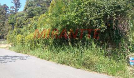 Terreno em PARQUE PETROPOLIS