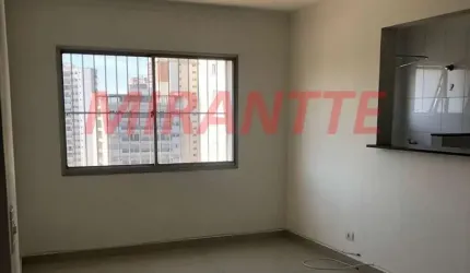 Apartamento de 50m² com 1 quartos em Saúde