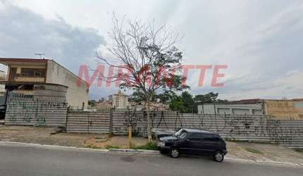 Terreno em Vila Gustavo