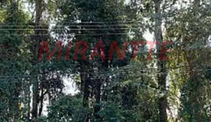 Terreno em Tremembe