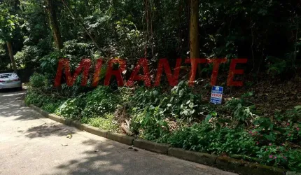 Terreno em Jardim Ibiratiba