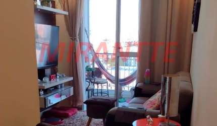 Apartamento de 55m² com 3 quartos em Vila Amelia