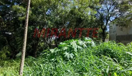 Terreno em Tucuruvi