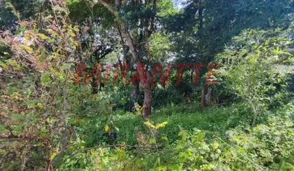 Terreno em Horto Florestal