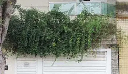 Sobrado de 220m² com 3 quartos em Limão
