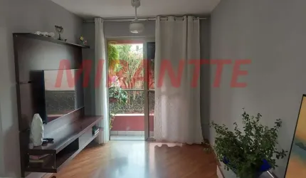 Apartamento de 69m² com 3 quartos em Lauzane Paulista