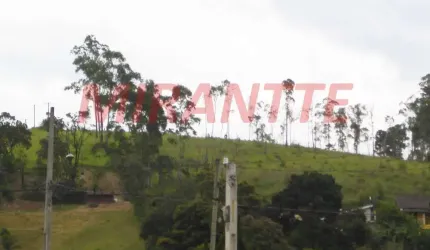 Terreno em Jardim Adutora