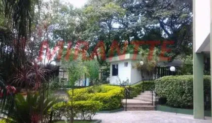 Apartamento de 48m² com 2 quartos em Lauzane Paulista