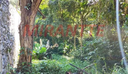 Terreno em Chácaras Copaco