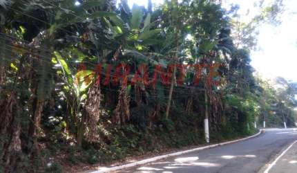 Terreno em Vila Albertina
