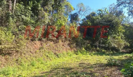 Terreno em Roseira