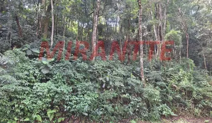 Terreno em Caraguata