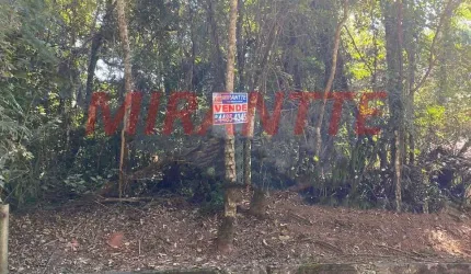 Terreno em Caraguata