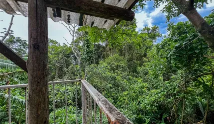 Casa de 4 dormitórios à venda no Morro das Pedras