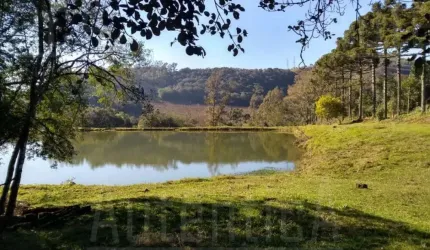 Chácara / sítio à venda na Estrada do Vinho, Loreto, Caxias do Sul por R$ 430.000