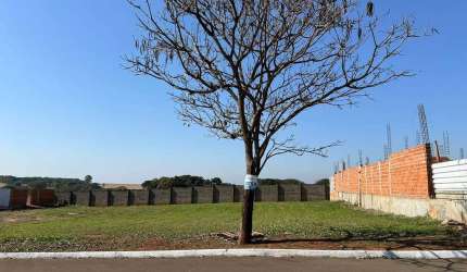 Terreno no Condomínio Portal dos Manacás