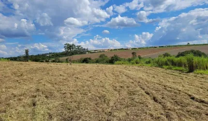 Sítio com 41.000 m² em Holambra - SP