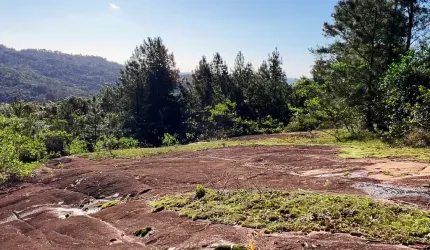 Chácara / sítio à venda na Estrada Ricardo Vieira Barcelos, 2000, Itapuã, Viamão, 20000 m2 por R$ 89.000