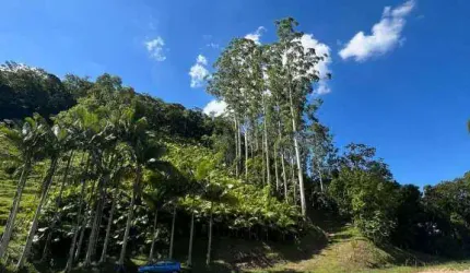 Terreno à venda na Rua Pomerânia, Pomerode Fundos, Pomerode, 17158 m2 por R$ 490.000