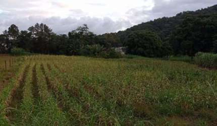 Terreno à venda na Rua Vitoria, Testo Rega, Pomerode, 2756 m2 por R$ 530.000