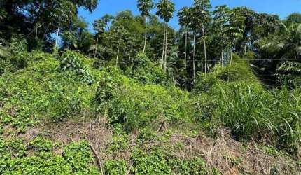 Terreno à venda na Rua Willy Butzke, Ribeirão Areia, Pomerode, 875 m2 por R$ 190.000