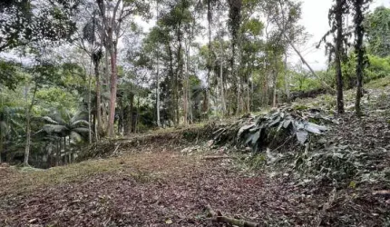 Terreno à venda no Wunderwald, Pomerode , 14894 m2 por R$ 250.000