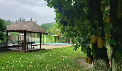 Chácara / sítio com 2 quartos à venda na Rua Pérola, Mazomba, Itaguaí por R$ 550.000