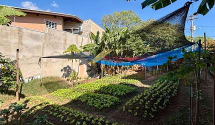 Terreno à venda em Jardim Paraíso - Campinas, 360 m² útil, com excelente topografia.