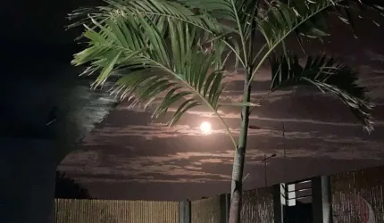 Casa Residencial de 4 dorms no bairro Rio Tavares