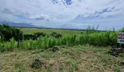 Sítio/Fazenda de 3372m² no bairro Riberão Grande