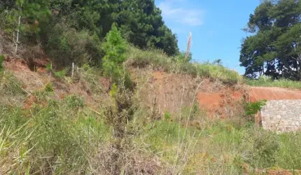 Terreno de 495.2m² no bairro Itacorubi