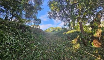 Terreno com 1.654,79m² no Itacorubi.