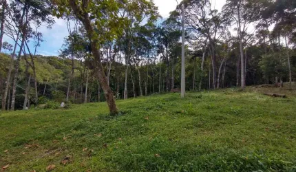 Terreno de 5366.82m² no bairro Varginha com 1.048,79 m² para construção