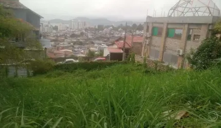 Terreno de 432.07m² no bairro Agronômica