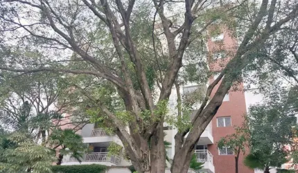 Apartamento com 1 quarto para alugar na Rua Fidalga, --, Vila Madalena, São Paulo, 74 m2 por R$ 5.500