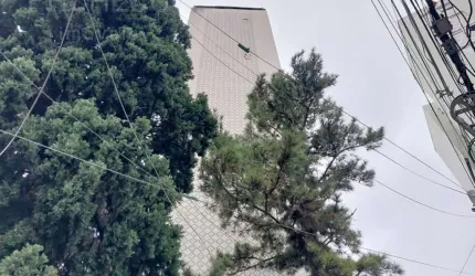 Apartamento com 2 quartos para alugar na Rua Cerro Corá, --, Alto da Lapa, São Paulo, 83 m2 por R$ 3.100