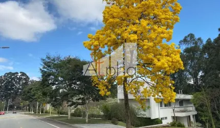 Casa em condomínio fechado com 4 quartos para alugar na Avenida São Paulo, 1517, Tamboré, Barueri por R$ 85.000