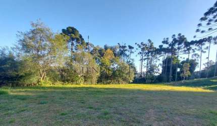 Terreno à venda, 1.060 m2 por R  559.000,00 - Rondinha - Campo Largo PR