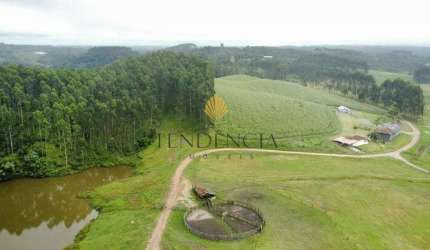 Fazenda à venda, 6.848.600.00 m2, Colônia Murici, SAO JOSE DOS PINHAIS - PR