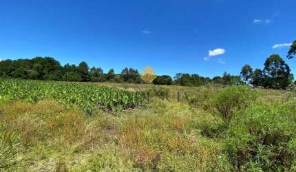 Chácara à venda, 57.862 m2,  por R  649.000,00 - Tabatinga - Tijucas do Sul PR