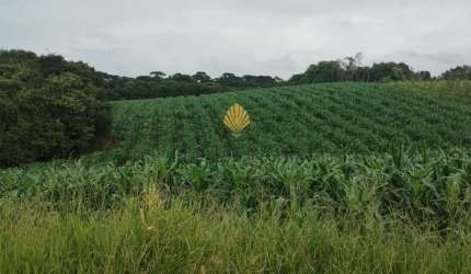 Chácara à venda, 25.110 m2 por R  1.374.000,00 - Cachoeira - São José dos Pinhais PR