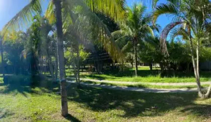 Sítio Amplo e Encantador em Campo Grande RJ