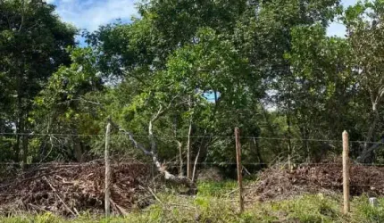 Lote no Coqueiros de Arembepe, 350m2, plano, escriturado e parcela.