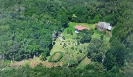 Chácara / sítio à venda na Linha São Gotardo, 1000, São Gotardo, Caxias do Sul por R$ 480.000