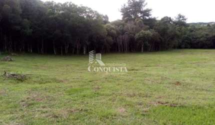 Chácara / sítio à venda na Linha Marmelero, 111, Criúva, Caxias do Sul por R$ 380.000