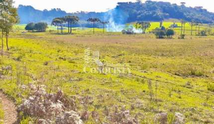 Terreno à venda na 15 de Novembro, 1900, Criúva, Caxias do Sul por R$ 220.000